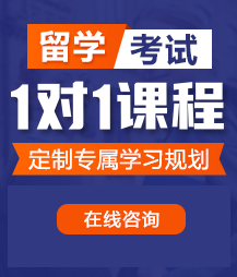 鸡巴操骚逼视频免费看留学考试一对一精品课